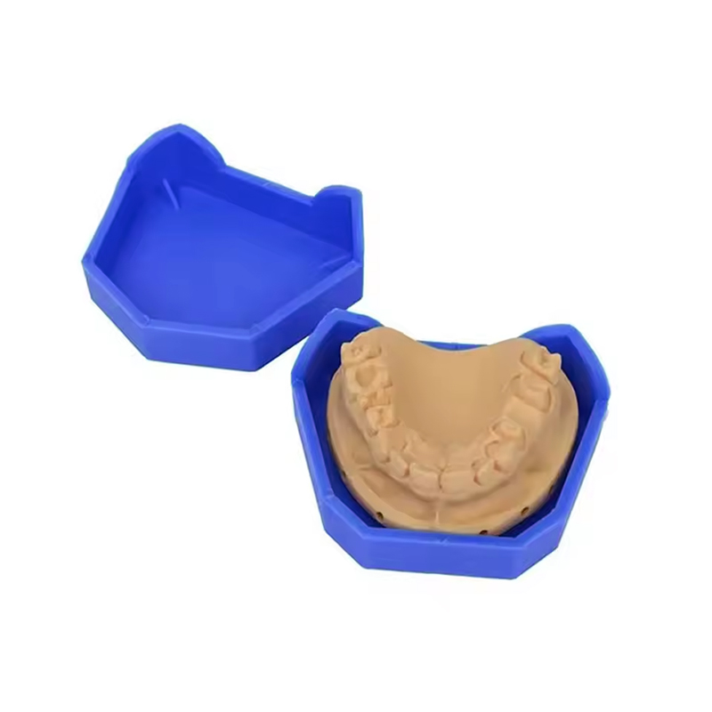 2/6 قطعة نموذج طب الأسنان قاعد - مراجعة Teeth Whitening Tray وسعره